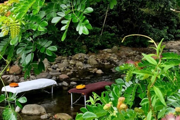 Martinica: The 'Island of Flowers' — a Sanctuary for Balance with Ancestral Healing Traditions